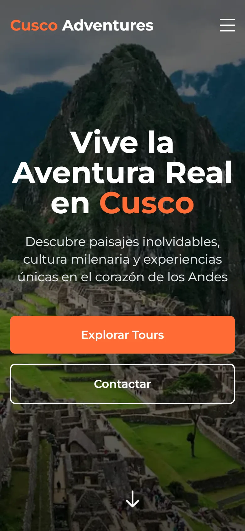 La misma página vista en un celular